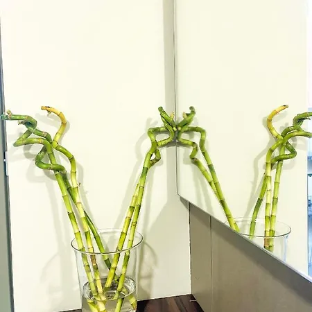 Apartamento Lagrange